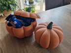 Bol Decorativ Dovleac cu Capac „PumpkinBox” 3D