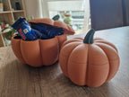 Bol Decorativ Dovleac cu Capac „PumpkinBox” 3D
