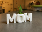 🌱 MomPlanter 3D | Suport Decorativ MOM cu Ghiveci Miniatural
