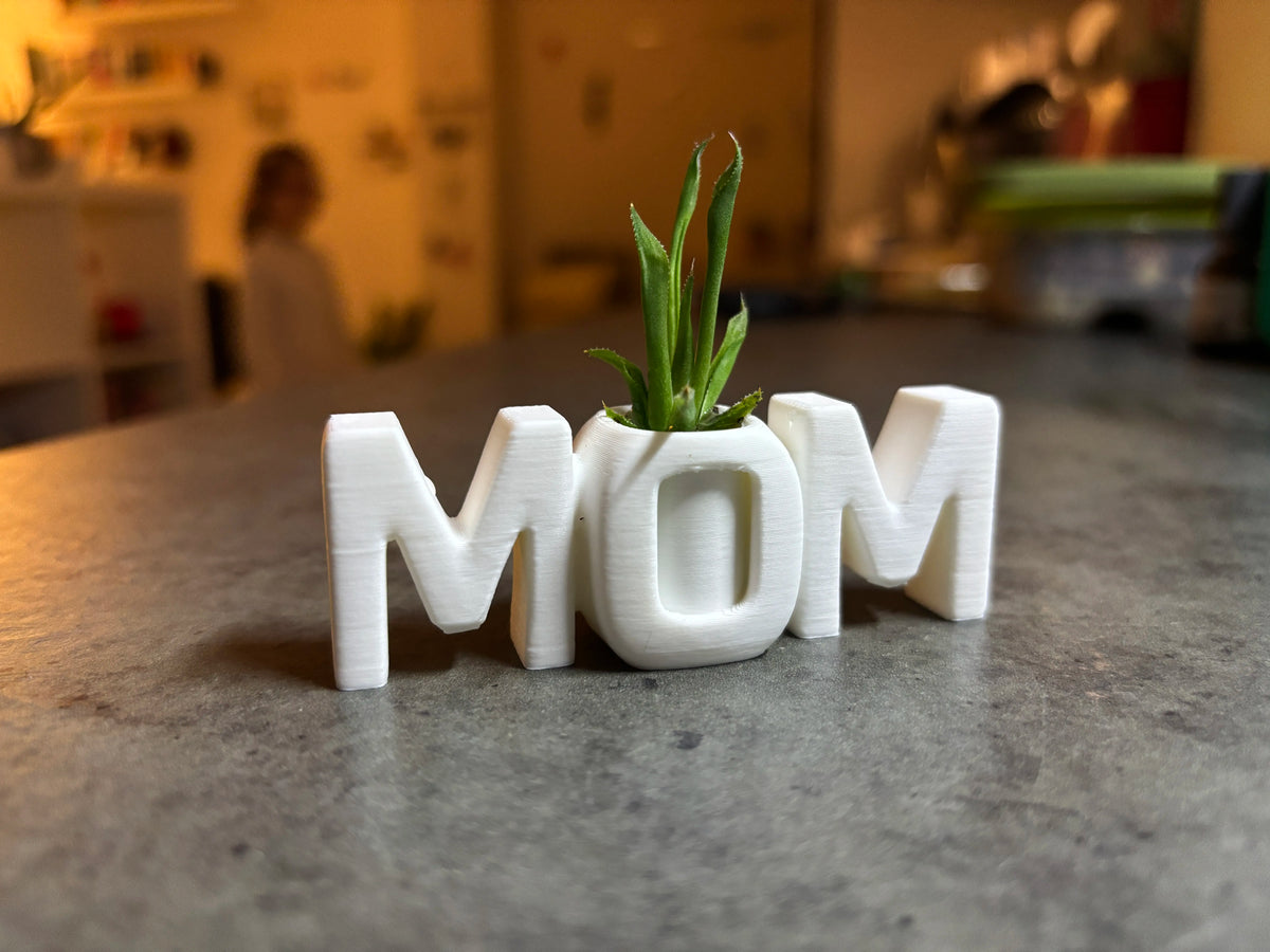🌱 MomPlanter 3D | Suport Decorativ MOM cu Ghiveci Miniatural
