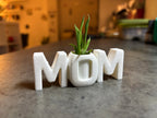 🌱 MomPlanter 3D | Suport Decorativ MOM cu Ghiveci Miniatural