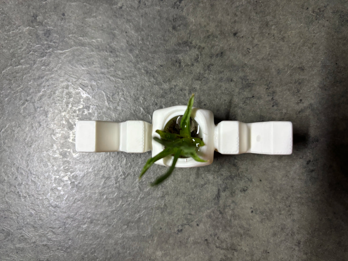 🌱 MomPlanter 3D | Suport Decorativ MOM cu Ghiveci Miniatural