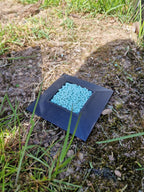Capcană de Grădină „Slug Trap” 3D