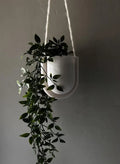 Ghiveci Suspendat „FloraLoop” 3D