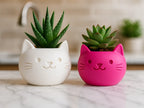 MeowPlanter | Ghiveci Decorativ Pisicuță