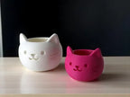 MeowPlanter | Ghiveci Decorativ Pisicuță