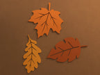 Set Frunze Decorative de Toamnă „AutumnLeaves” 3D