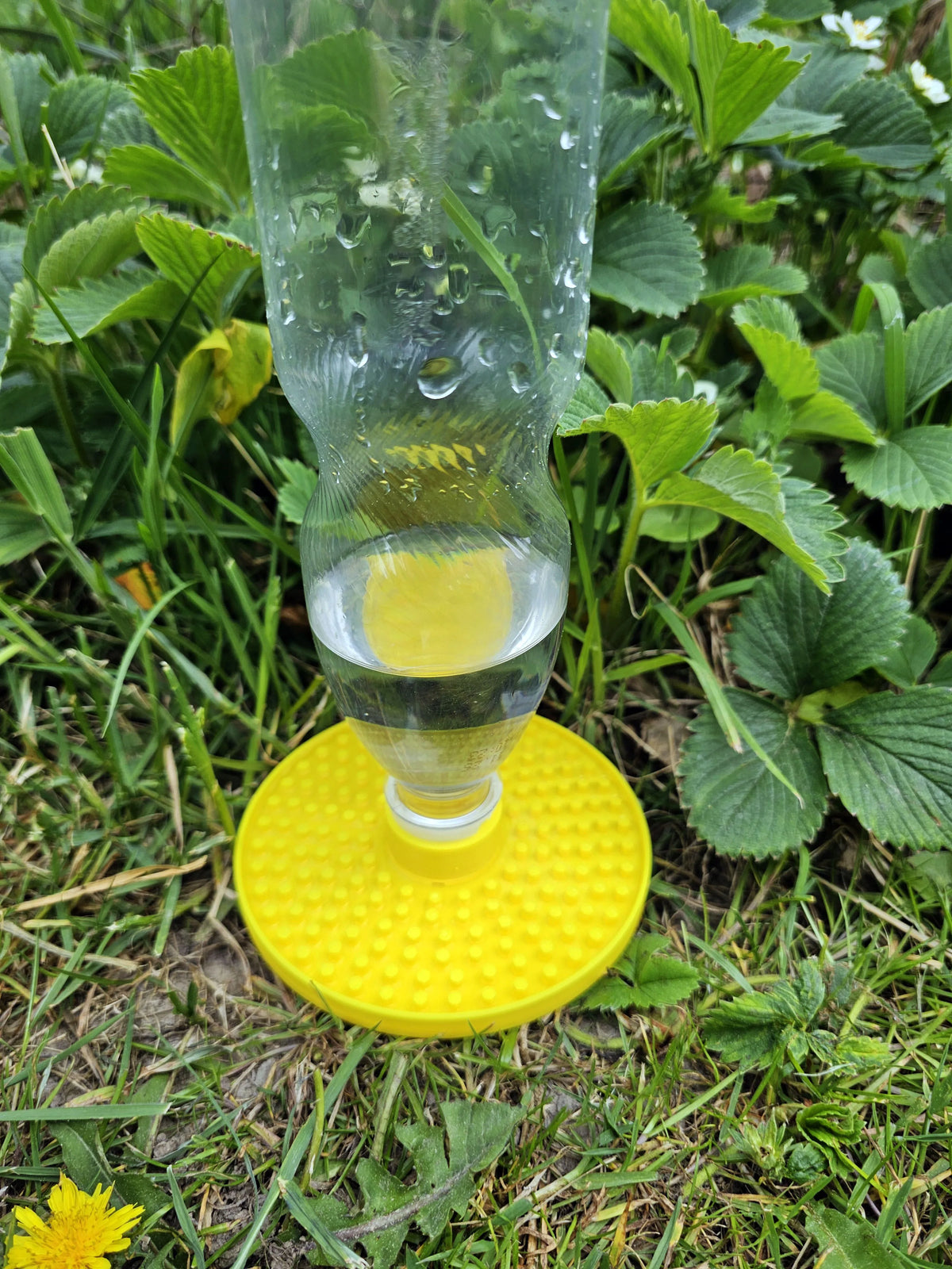 Adapătoare Albine „BeeOasis” 3D