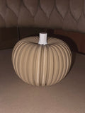 Dovleci Decorativi Texturați „PumpkinGlow” 3D