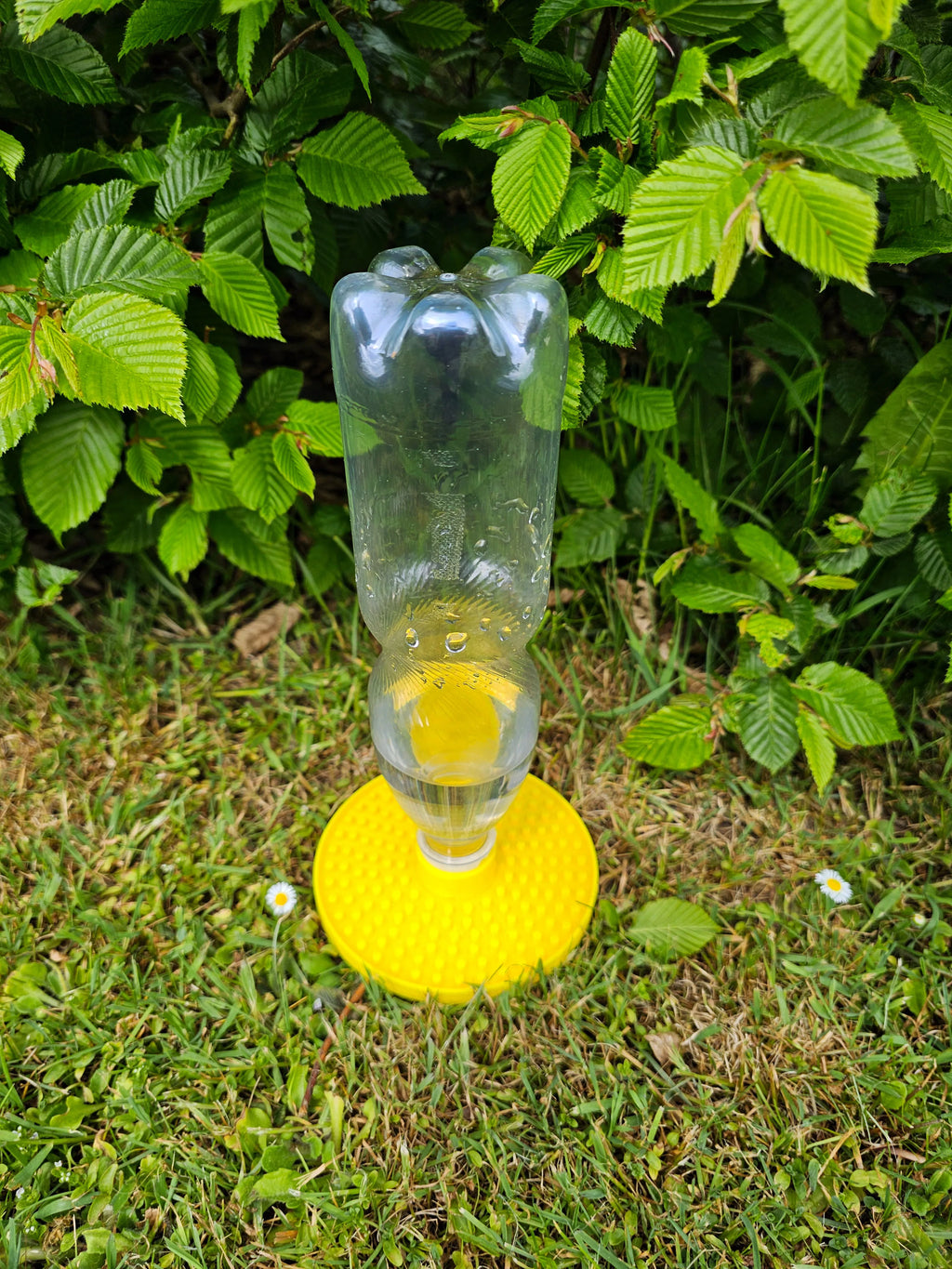 Adapătoare Albine „BeeOasis” 3D