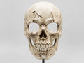 Mască Realistică Craniu cu Fisuri „Cracked Skull Mask” 3D